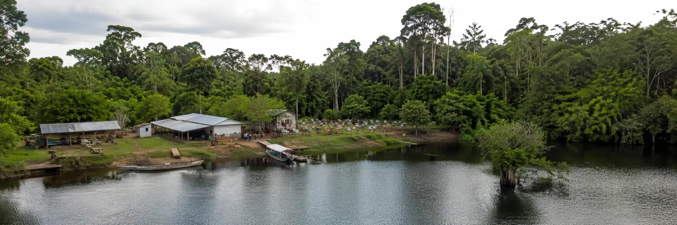 Comunidade e floresta na Reserva do Lago do Cuniã Vista da comunidade onde a produção sustentável no Cuniã é desenvolvida junto à floresta e às águas da reserva.