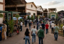 Agrotec 2026 começa em Porto Velho com entrada grátis; veja horários Agrotec 2026 Porto Velho reúne público, estandes, exposição agropecuária e atrações no Complexo Madeira-Mamoré