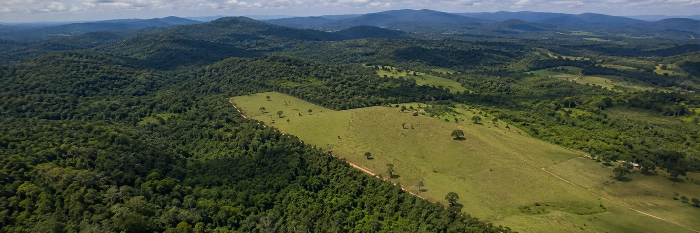 Cobertura vegetal no monitoramento dos alertas do Deter Alertas do Deter em Rondônia acompanham mudanças na cobertura vegetal em área amazônica