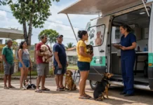 Castramóvel atende em dois pontos de Porto Velho neste fim de semana Castramóvel em Porto Velho oferece atendimento gratuito para cães e gatos neste fim de semana