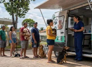 Castramóvel atende em dois pontos de Porto Velho neste fim de semana Castramóvel em Porto Velho oferece atendimento gratuito para cães e gatos neste fim de semana