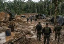 Operação inutiliza 23 acampamentos de garimpo no Parque Mapinguari Vista aérea de área de garimpo no Mapinguari aberta em meio à floresta amazônica.