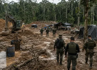 Operação inutiliza 23 acampamentos de garimpo no Parque Mapinguari Vista aérea de área de garimpo no Mapinguari aberta em meio à floresta amazônica.