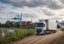 UE interrompe entrada de carne bovina brasileira; veja o alcance para Rondônia Carne bovina na UE com pecuária de Rondônia e logística de exportação