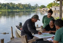 Carne de jacaré do Cuniã avança em estudo para possível reconhecimento de origem Comunidade do Cuniã participa de levantamento sobre a origem da carne de jacaré em território amazônico