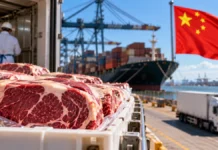 Brasil esgota cota de carne bovina na China; excedente terá tarifa de 67%