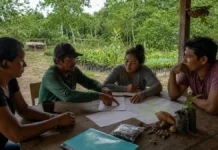 Floresta+ Amazônia aceita projetos de até R$ 650 mil em Rondônia Edital Floresta+ Amazônia com planejamento comunitário de projetos ambientais em Rondônia