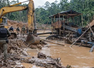 Operação Fornalha inutiliza máquinas de garimpo em terras indígenas Imagem ilustrativa de operação contra garimpo ilegal em área de floresta, com escavadeira, estrutura de mineração e agentes em campo.