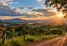 Primavera começa terça às 20h05 em Rondônia; entenda o que muda no clima Primavera em Rondônia: paisagem ilustrativa com estrada rural, vegetação amazônica e céu com sol e nuvens ao entardecer