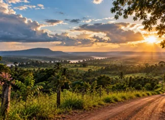 Primavera começa terça às 20h05 em Rondônia; entenda o que muda no clima Primavera em Rondônia: paisagem ilustrativa com estrada rural, vegetação amazônica e céu com sol e nuvens ao entardecer