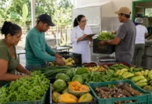 Programa aproxima agricultura familiar das compras públicas em 45 municípios de Rondônia Programa Nosso Alimento