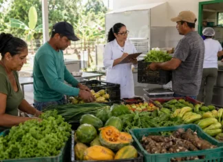 Programa aproxima agricultura familiar das compras públicas em 45 municípios de Rondônia Programa Nosso Alimento