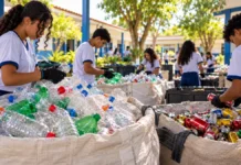 Consciência Limpa premia nove estudantes de escolas municipais em Porto Velho Consciência Limpa em composição editorial com estudantes separando garrafas PET e latinhas em escola de Porto Velho
