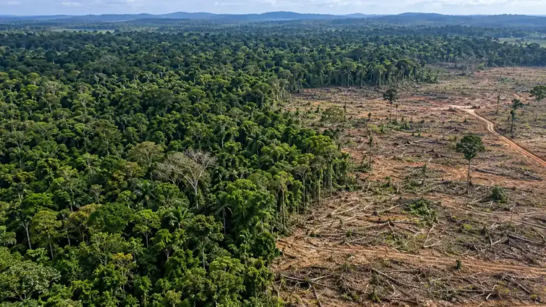 Desmatamento em Rondônia recua para 149 km² Desmatamento em Rondônia em composição editorial sobre redução de 34,9% registrada pelo Prodes