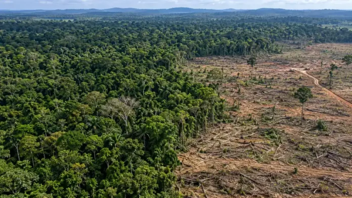 Desmatamento em Rondônia recua para 149 km² Desmatamento em Rondônia em composição editorial sobre redução de 34,9% registrada pelo Prodes