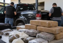 Polícia Civil apreende 244 kg de drogas após disparos contra agentes em Nova Mamoré Cena ilustrativa de materiais apreendidos em operação policial relacionada às drogas em Nova Mamoré, onde a Polícia Civil recolheu aproximadamente 244 quilos de entorpecentes.