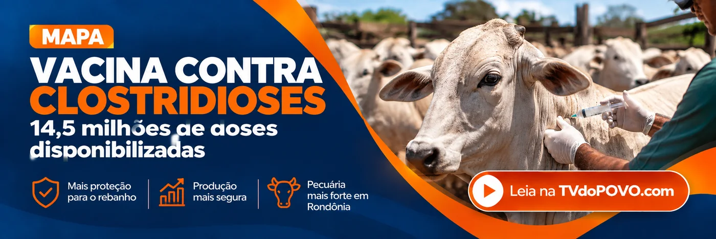 Faixa editorial da TVdoPOVO sobre vacina contra clostridioses e proteção do rebanho bovino