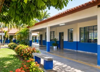 Seduc disponibiliza diretrizes do Ensino Médio em Rondônia Composição editorial ilustrativa de ambiente escolar para notícia sobre o Ensino Médio em Rondônia e diretrizes da Seduc.