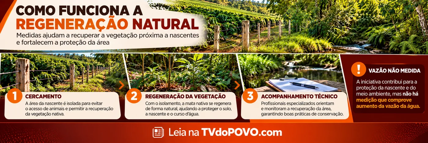 Infográfico de regeneração natural em Cacoal mostra cercamento, recuperação da vegetação e acompanhamento técnico, sem vazão medida